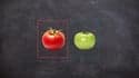 Real-World Object Detection: Waste Sorting & Tomato Ripeness