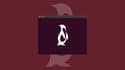 Linux Basics for Beginners