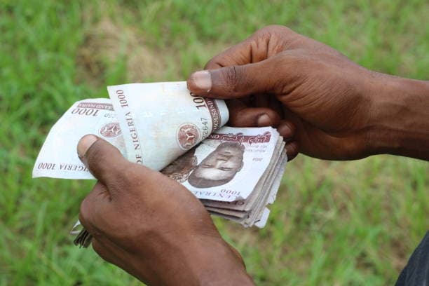 "Nigerians would rather stay jobless than work for ₦100k" — Man sparks debate online